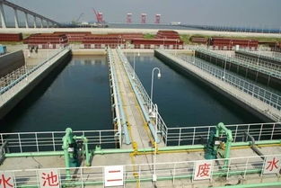 当“工业废水”变身“养生温泉” 北欧发电厂的循环智慧